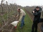Foto: Obstbauer bei der Arbeit an einem Apfelbaum, der von einem Mann gefilmt wird.